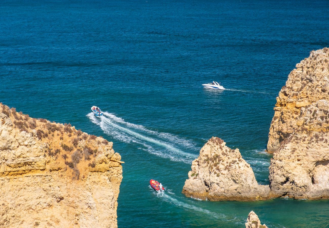 Passeios de barco