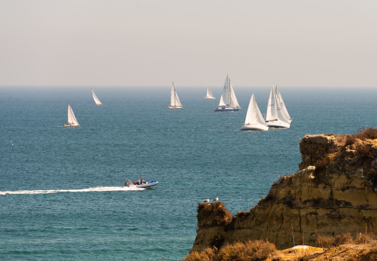 Barcos à vela