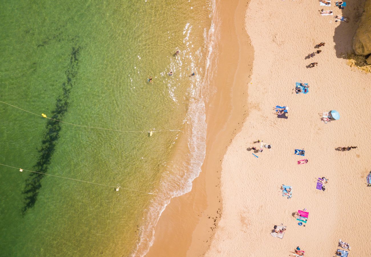 Vista aérea da praia