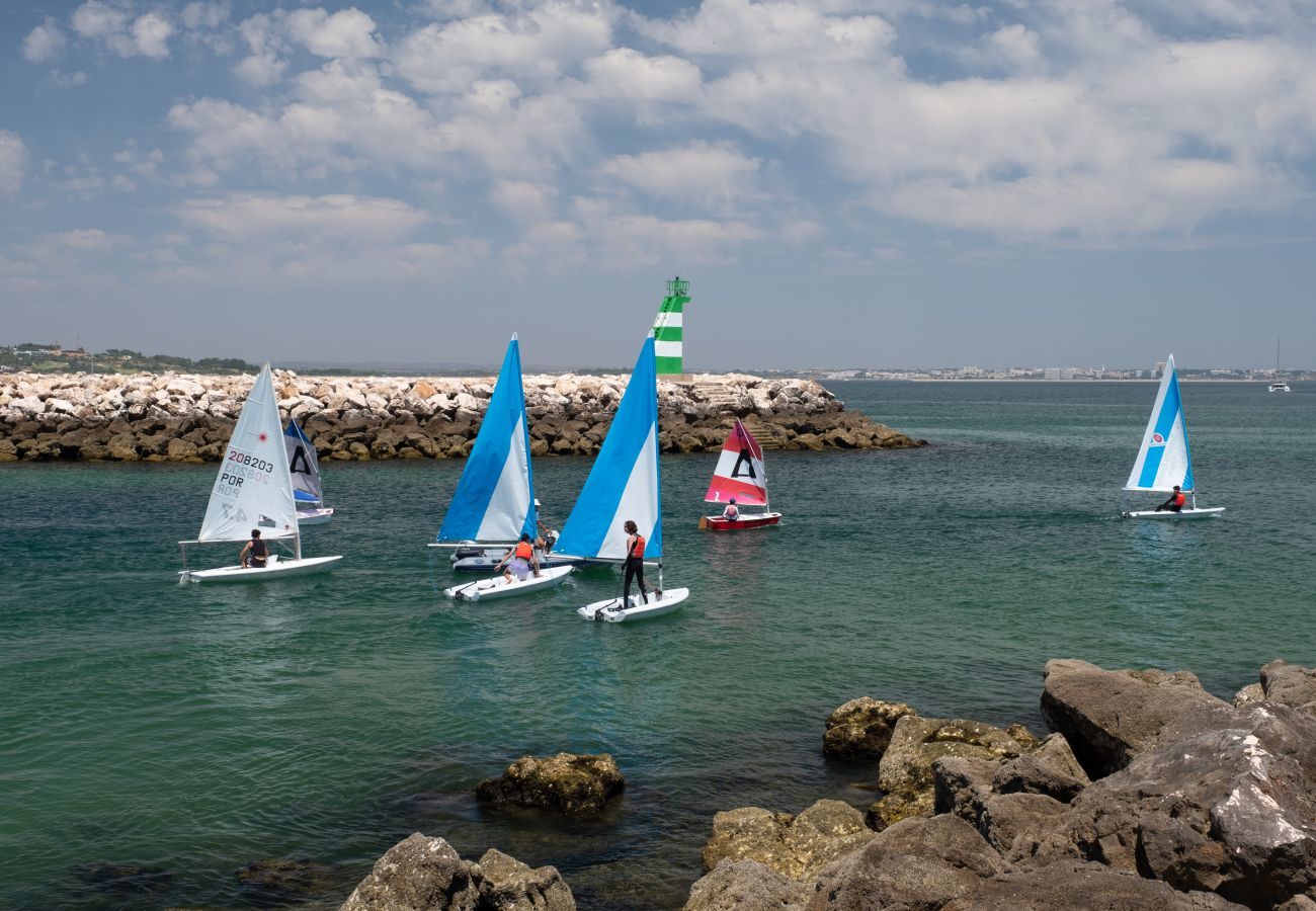 Barcos à vela