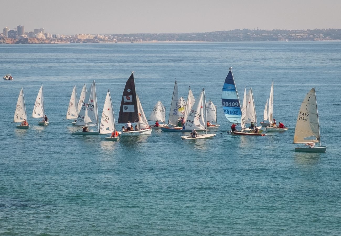 Barcos à vela