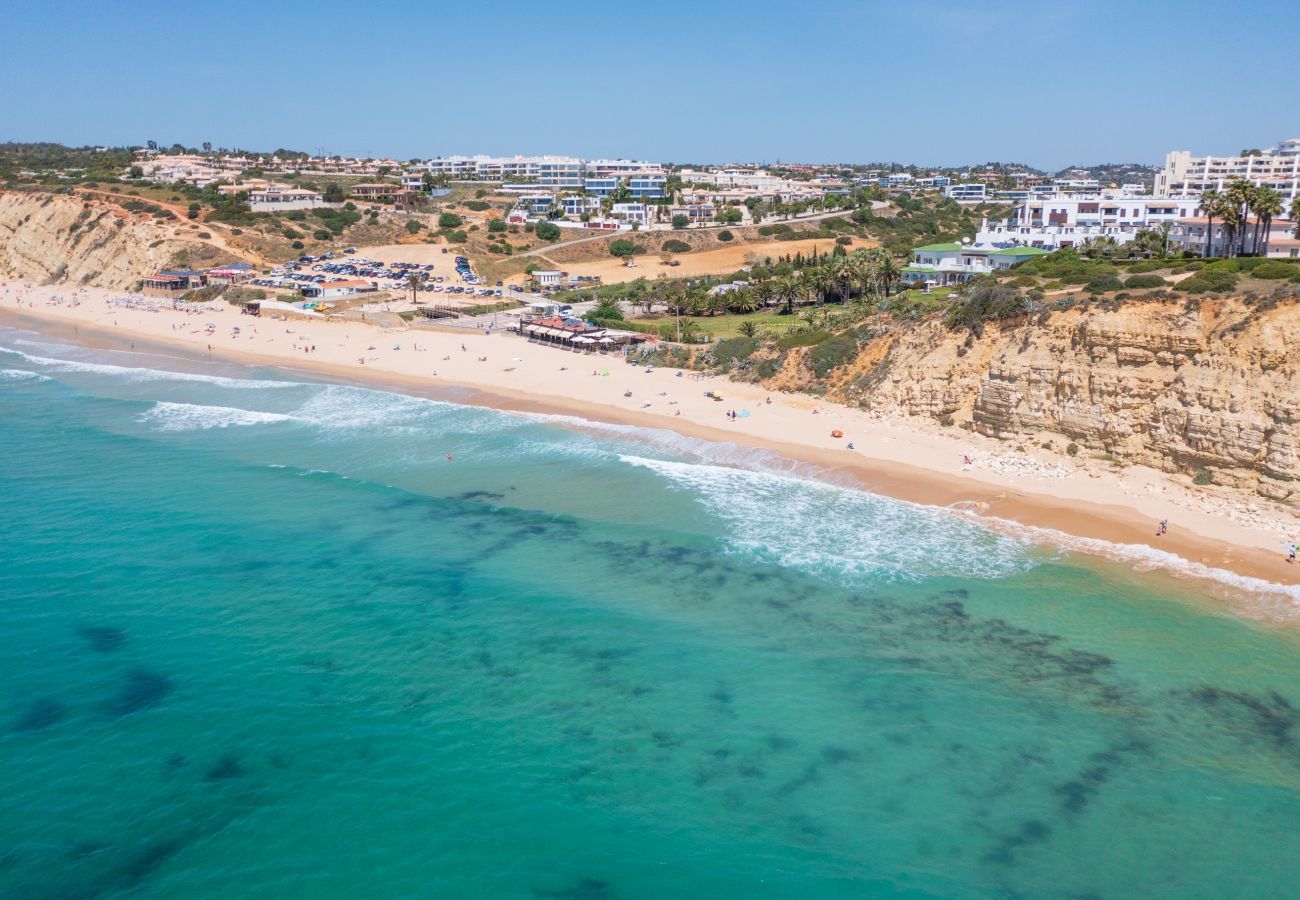 Vista aérea da praia de Porto de Mós