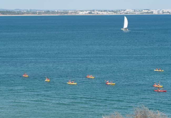 Kayak tour in the sea