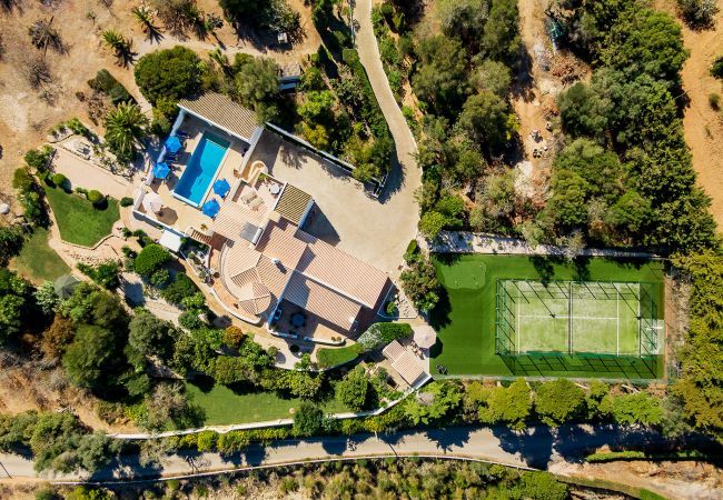 Aerial view of the property