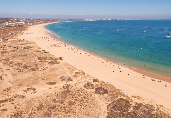 Aerial view of Meia Praia beach