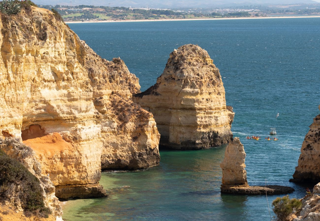 View of the Cliffs