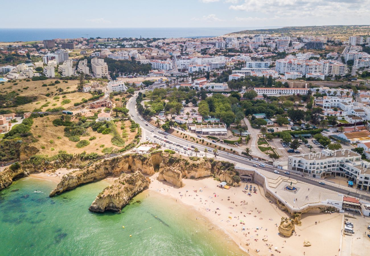 Aerial view of the city