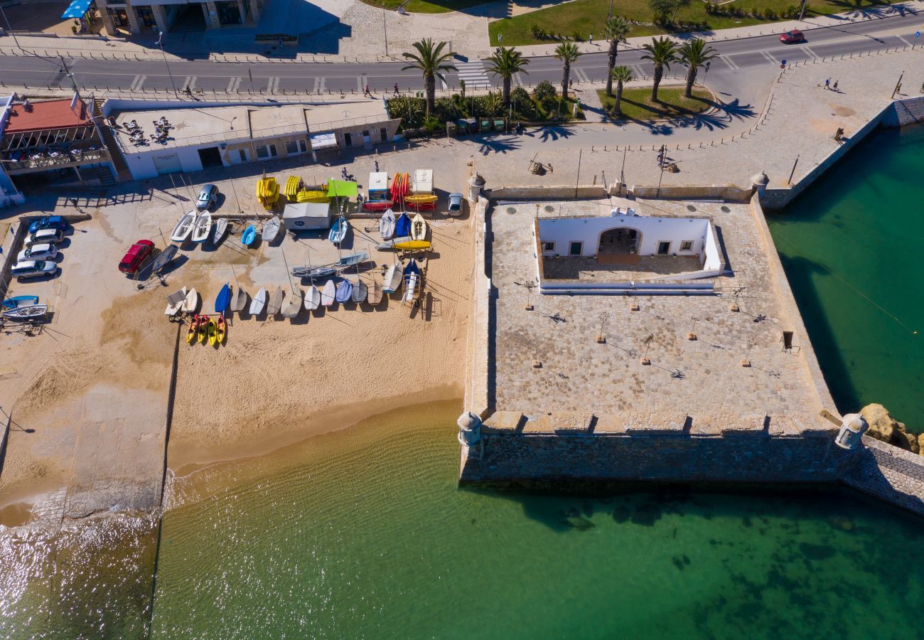 Aerial view of Forte Ponta da Bandeira