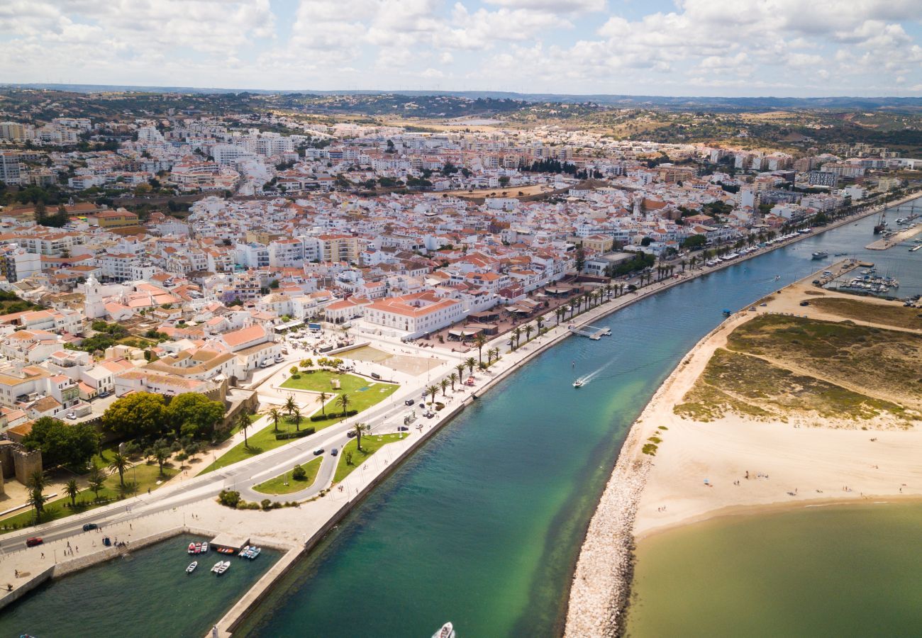 Aerial view of Avenida dos Descobrimentos and the river