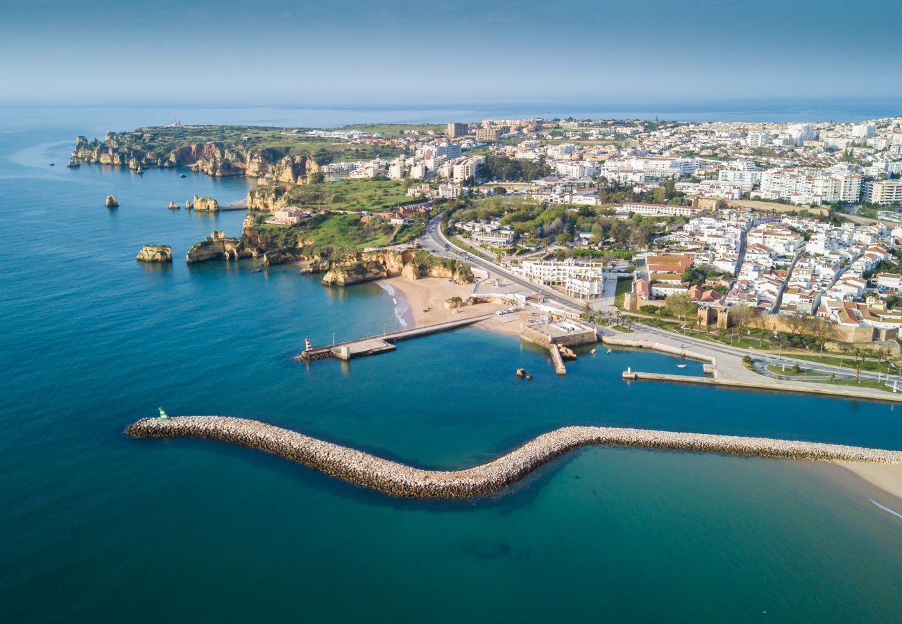 Aerial view of the river, sea and city