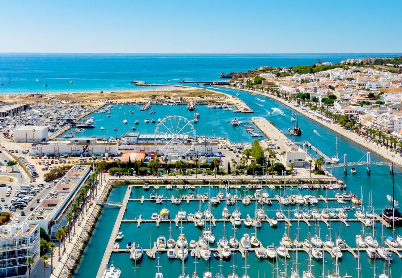 Aerial view of the Marina