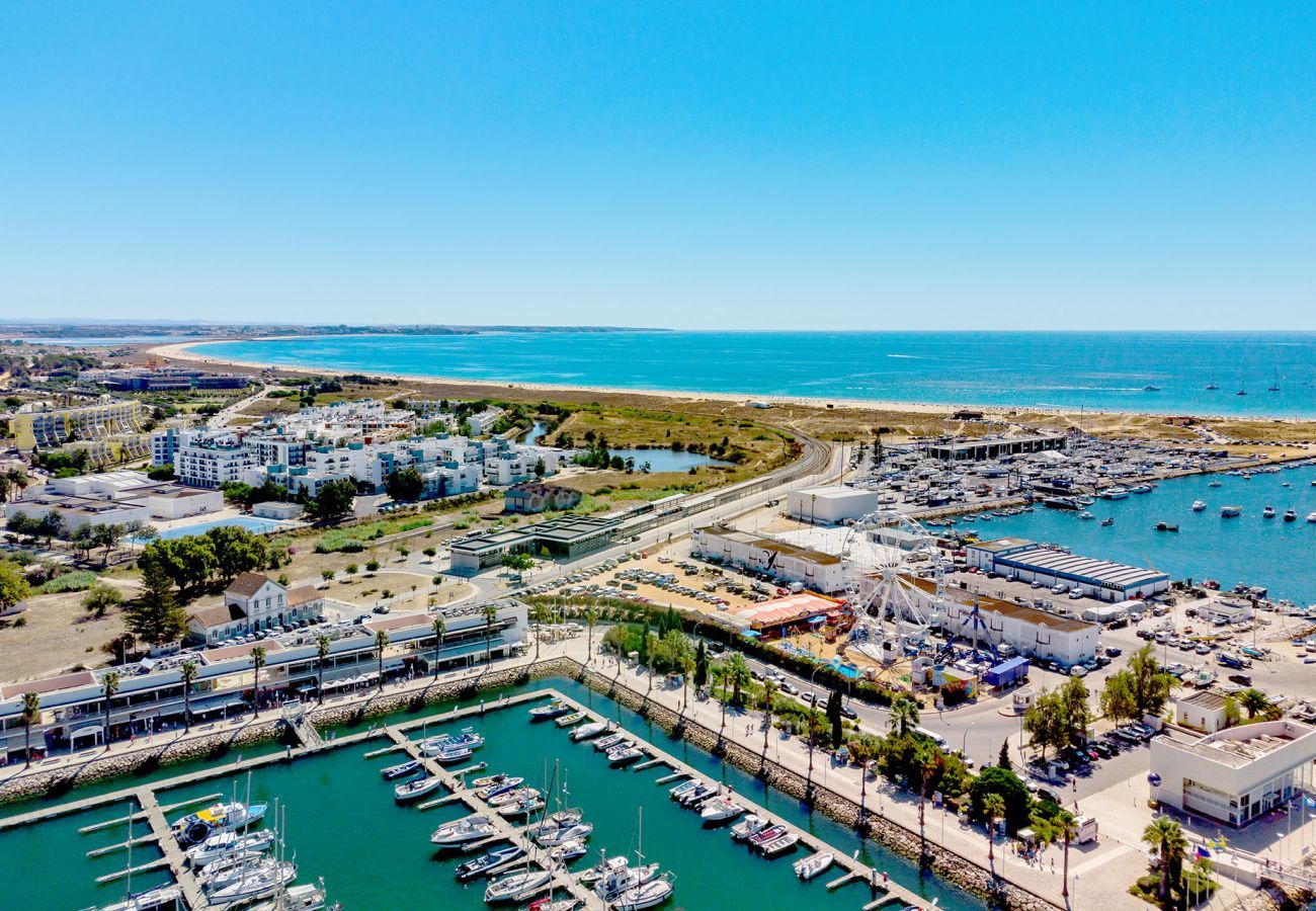 Aerial view of the Marina