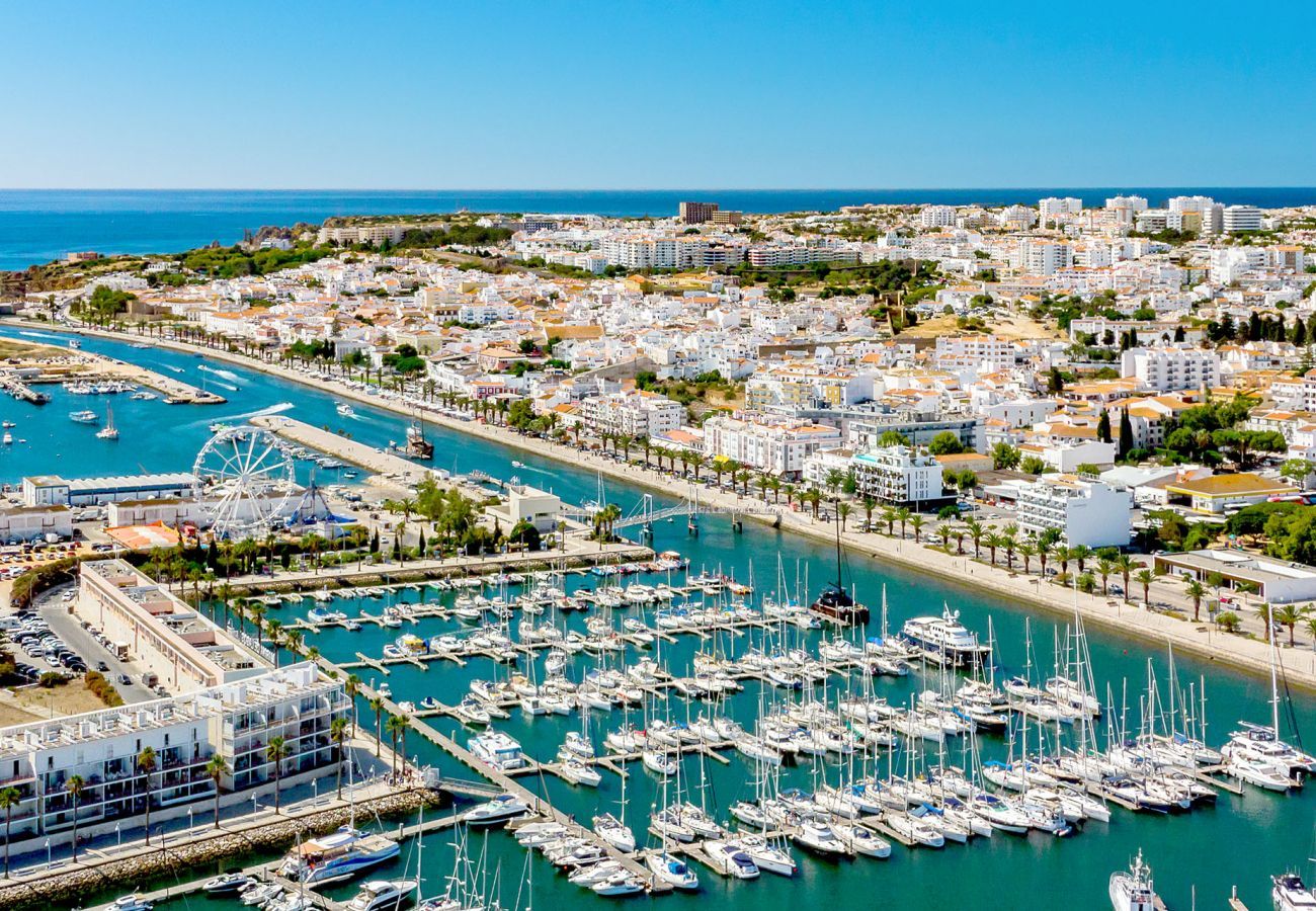 Aerial view of the Marina