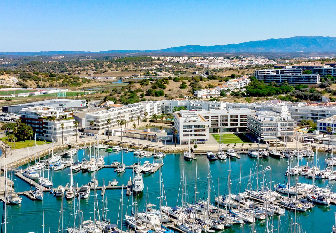 Aerial view of the Marina