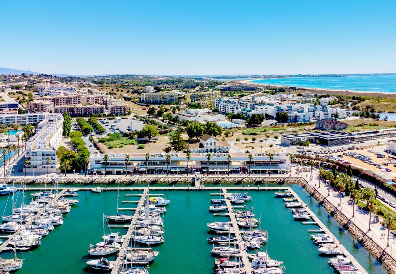 Aerial view of the Marina