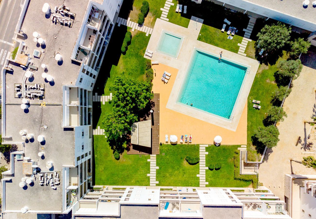 Aerial view of the swimming pool