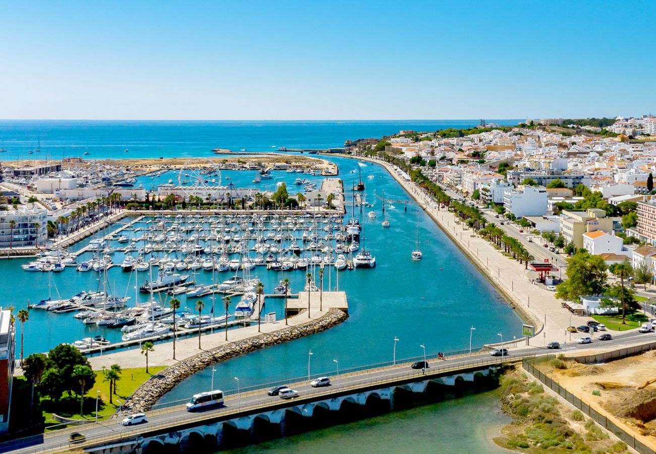 Aerial view of the Marina