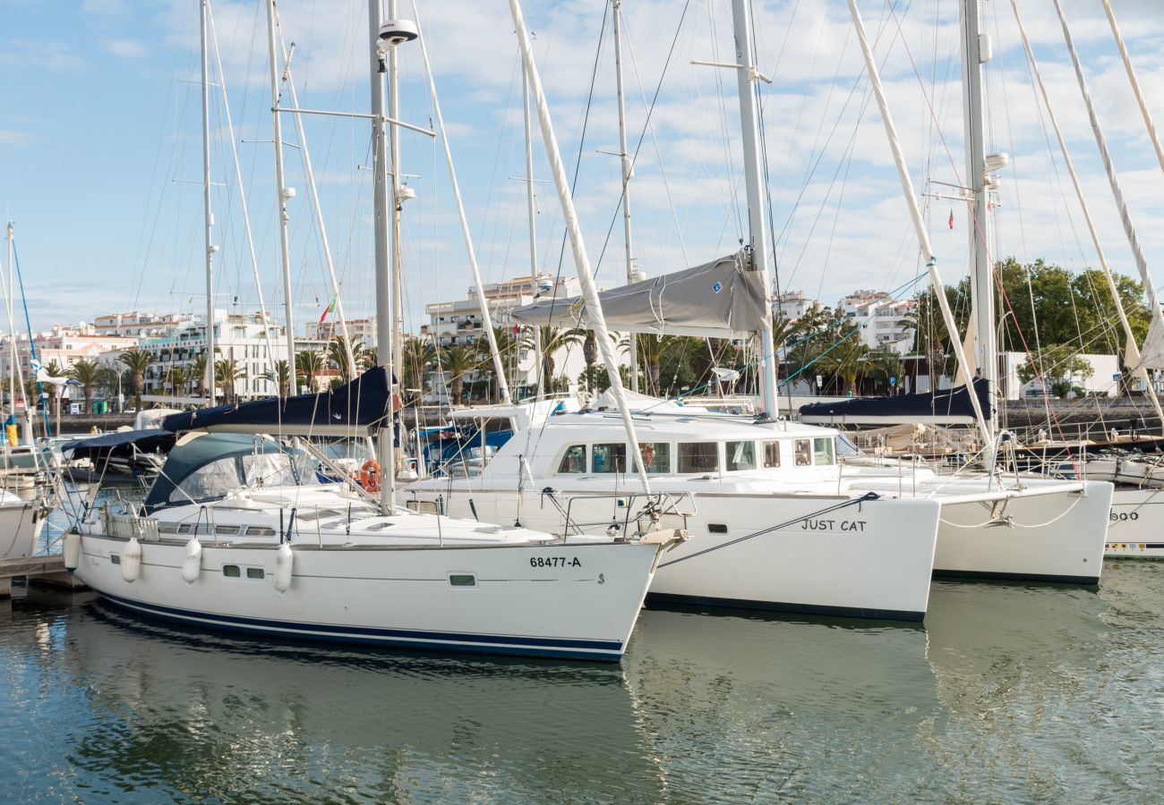 Boats in the marina