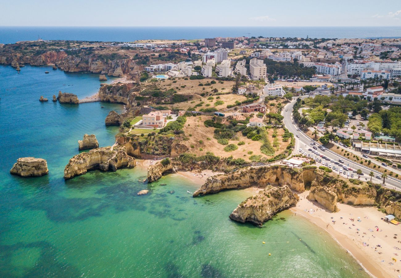 Aerial view of the coastline