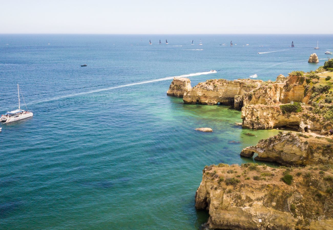 Aerial view of the coastline