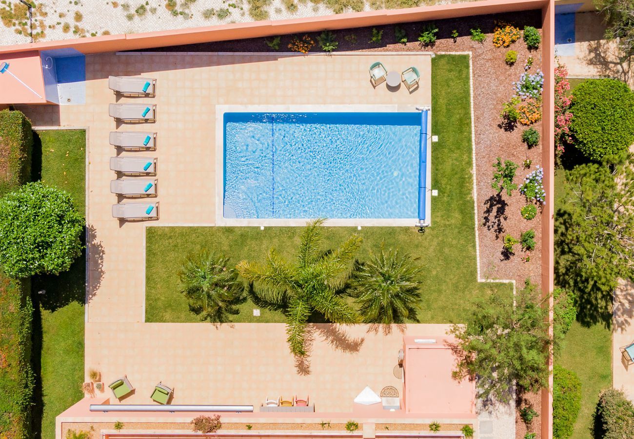 Aerial view of the terrace and pool