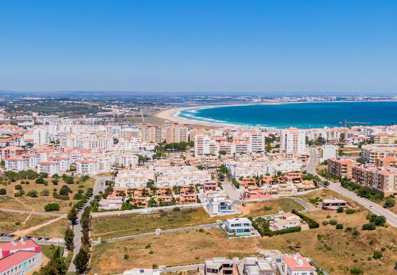 Aerial view of the city