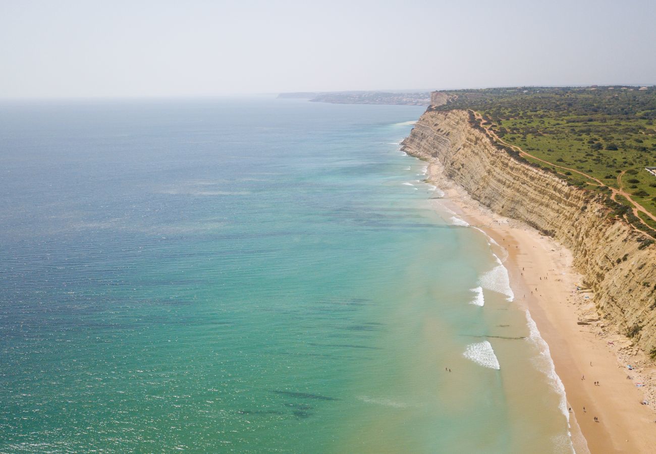 Aerial view of the coastline