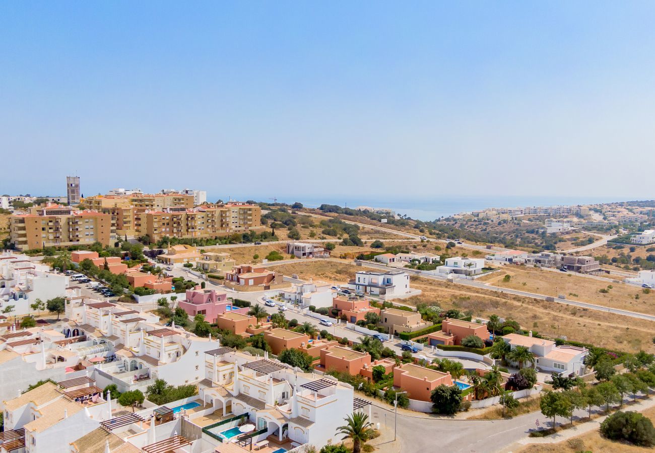 Aerial view of the residential area