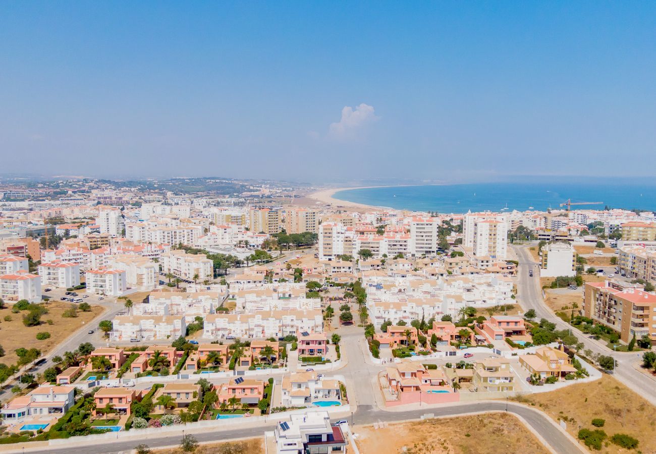 Aerial view of the residential area