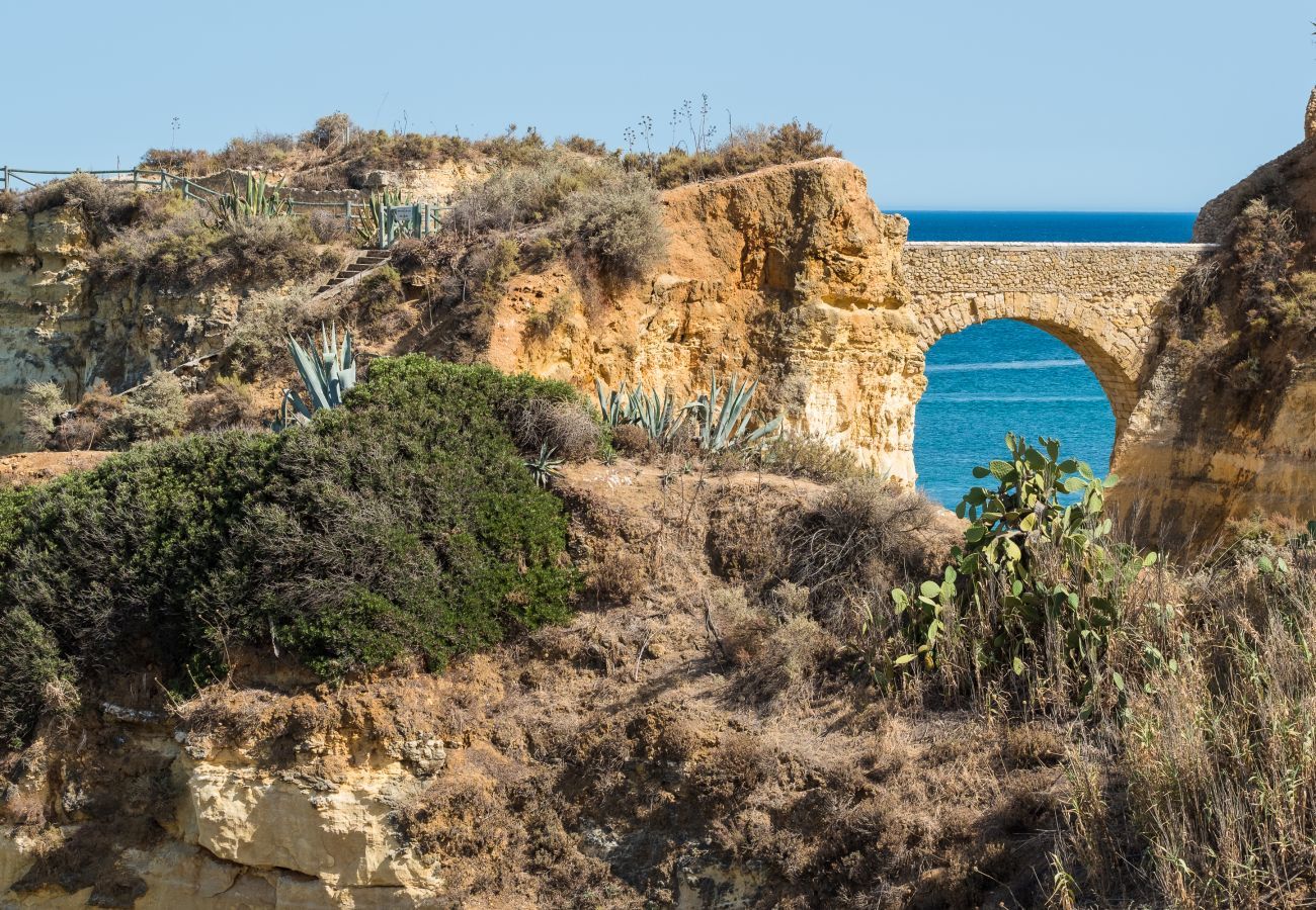 View of the cliffs