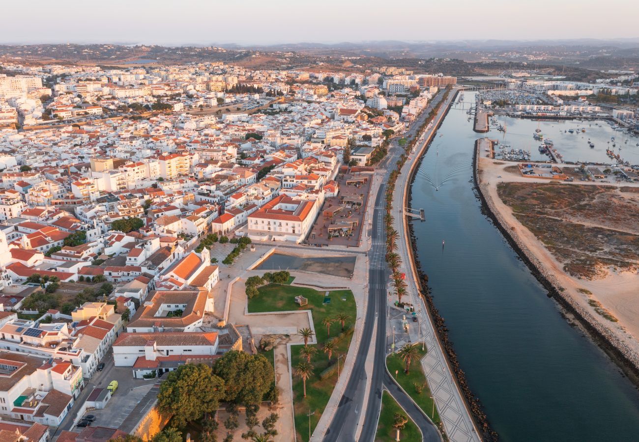 Aerial view of the city and river