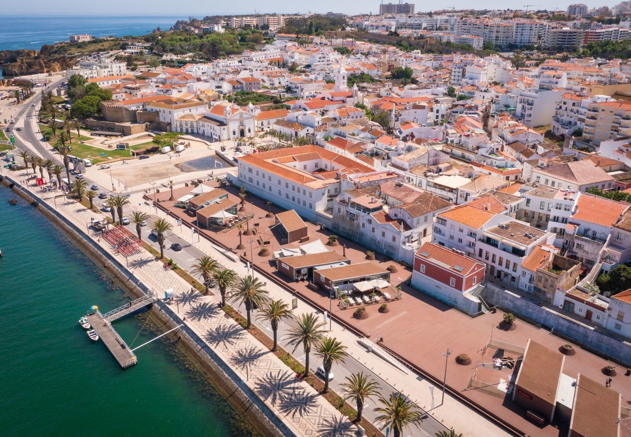 Aerial view of the city