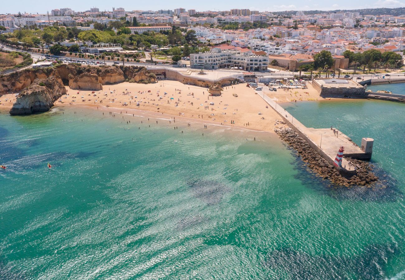 Aerial view of Lagos bay