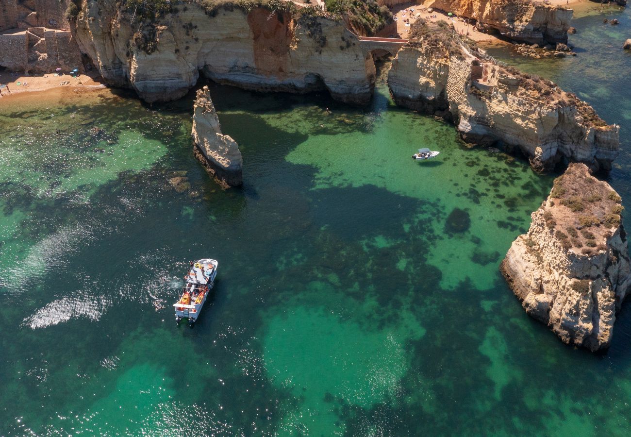 Aerial view of the cliffs, beach and ocean