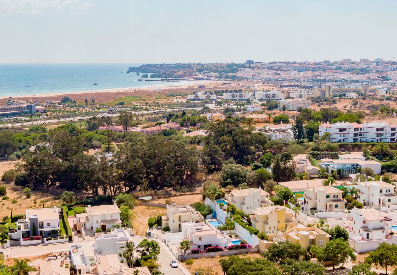 Aerial view of the surroundings