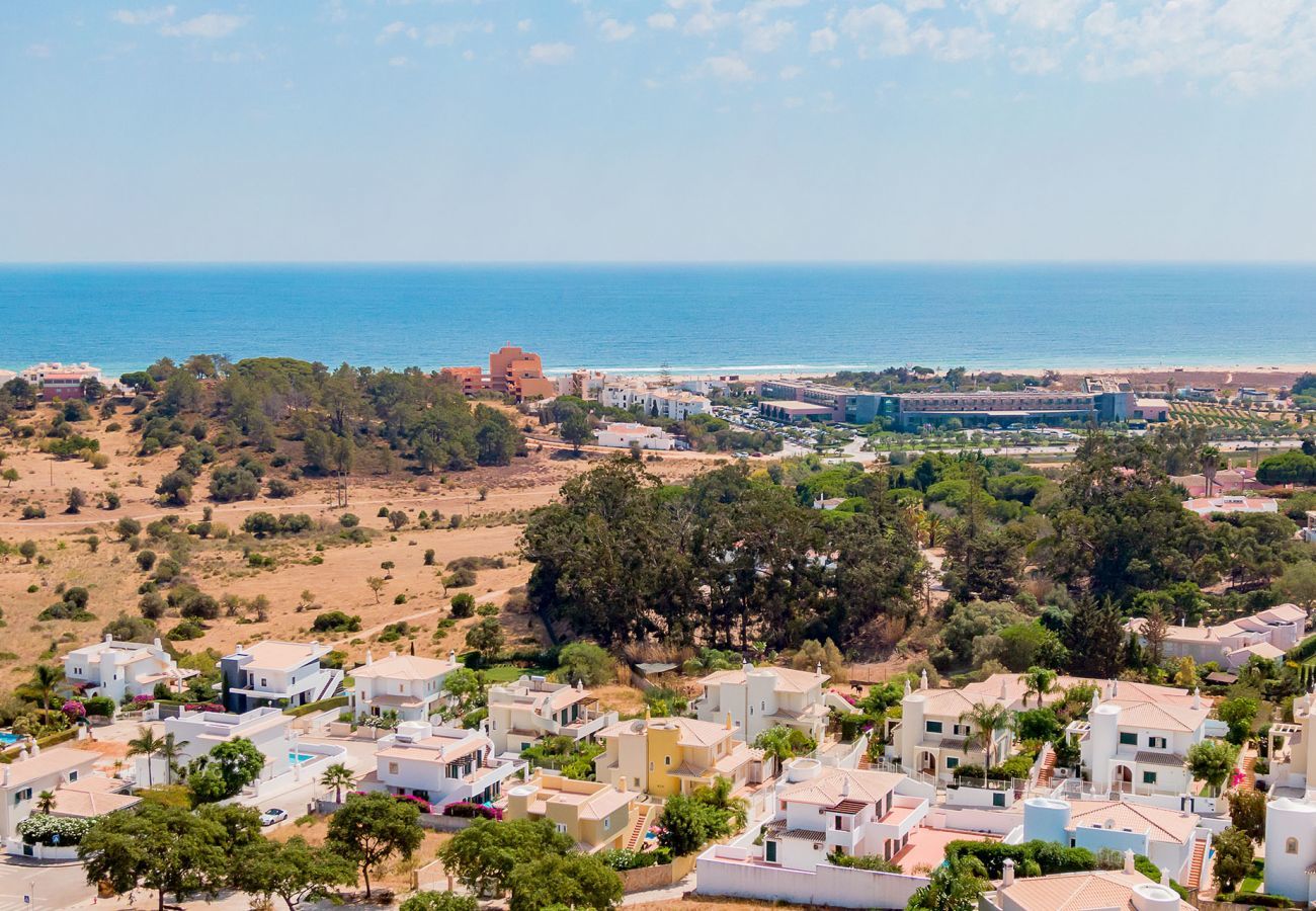 Aerial view of the surroundings