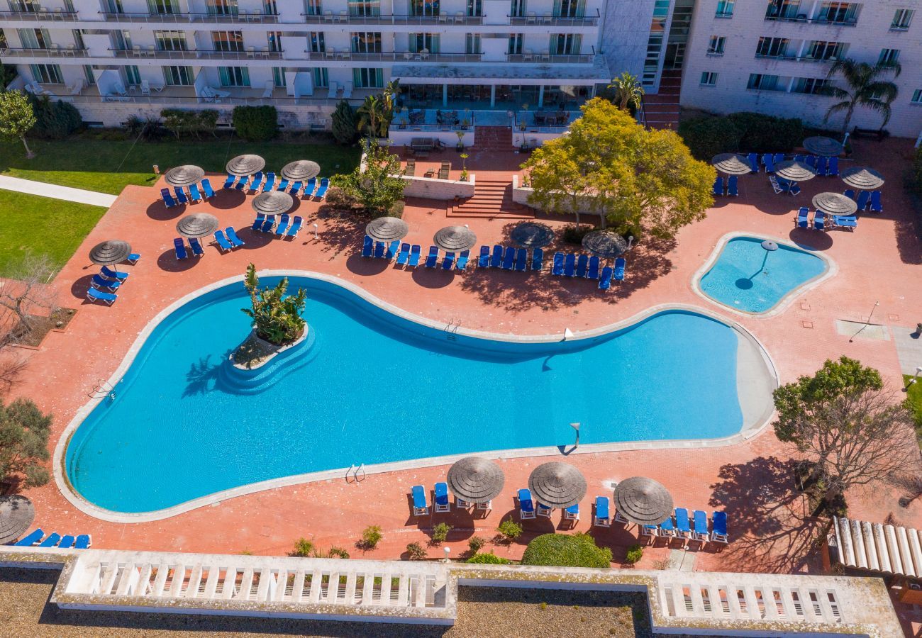 Aerial view of the swimming pool