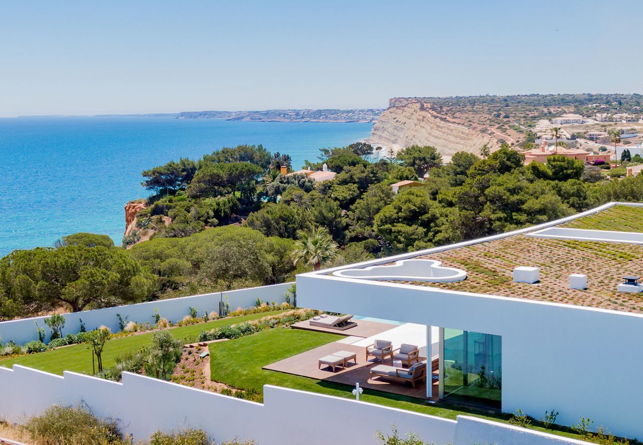 Aerial view of the villa and the sea