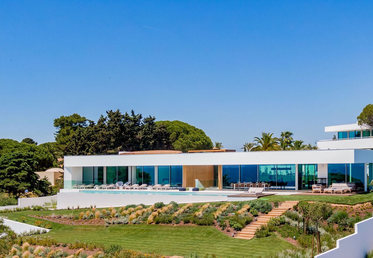 Back garden aerial view of the villa