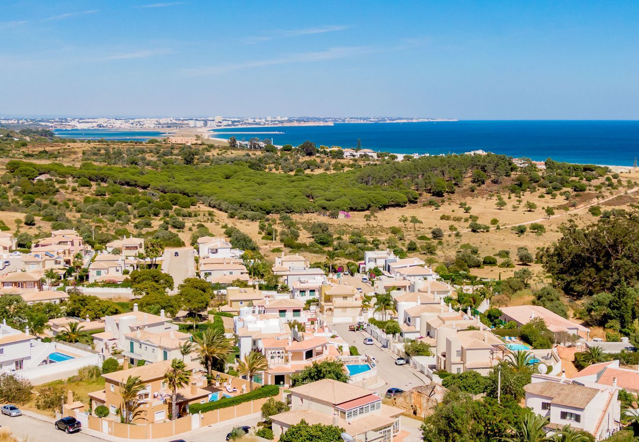 Aerial view of the residencial area