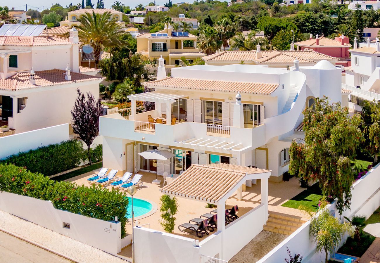 Aerial view of the villa