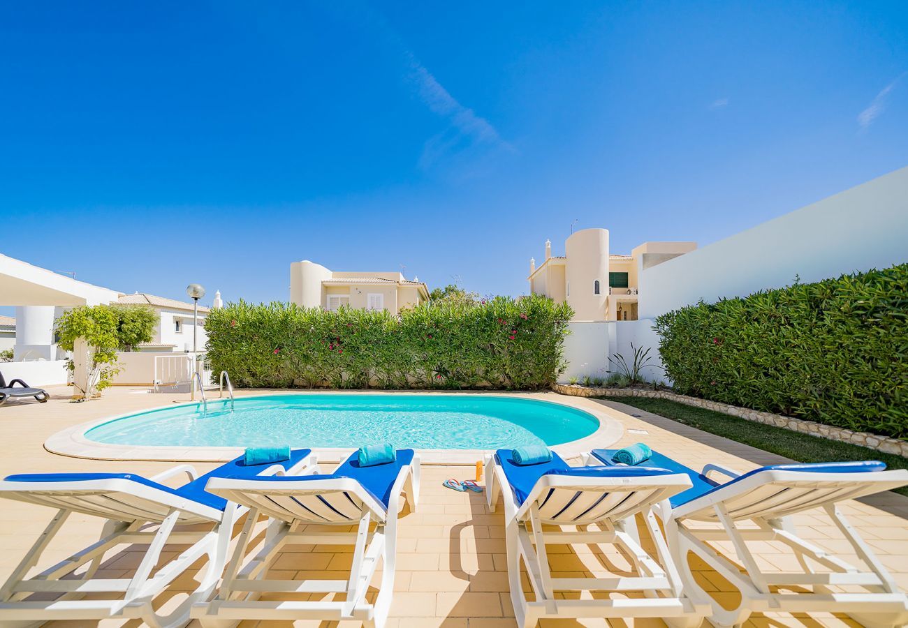 Swimming pool and sun loungers