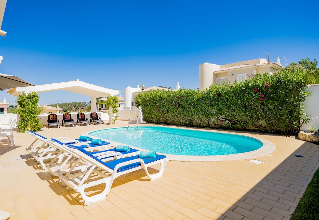 Swimming pool and sun loungers