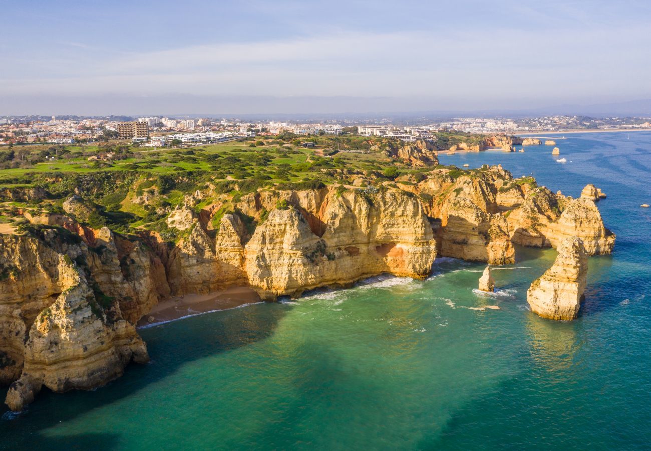 Aerial view of the coastline