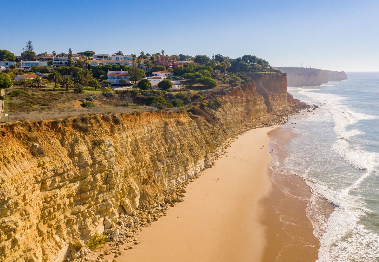 Aerial view of the coastline