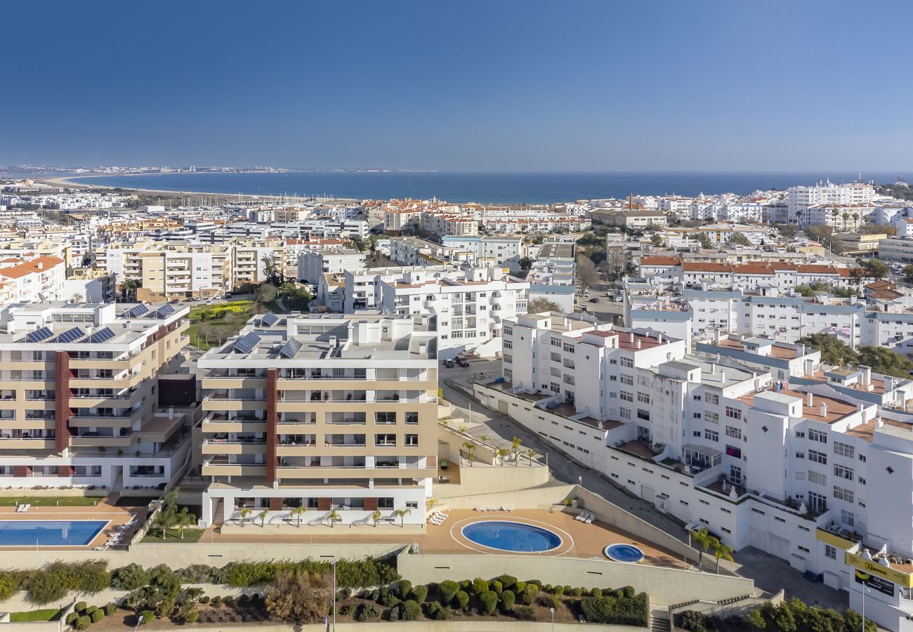 Aerial view of the condominium