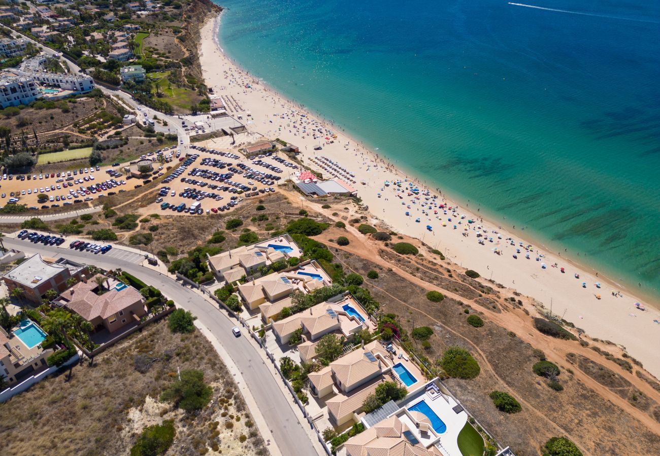 Aerial view of the surrounding area and beach