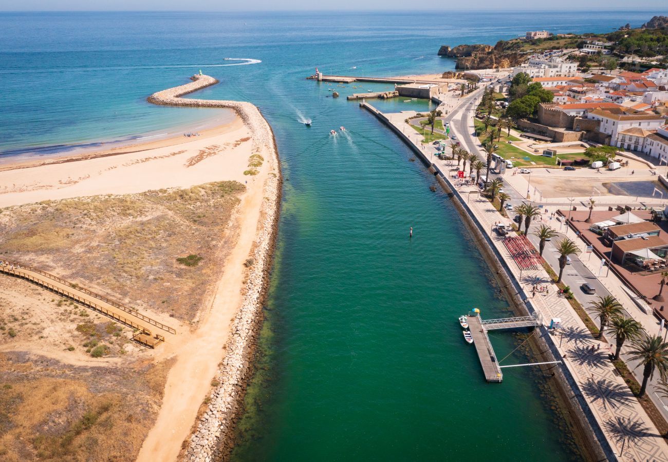 Aerial view of the river