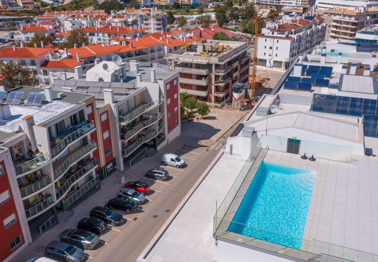 Aerial view of the swimming pool