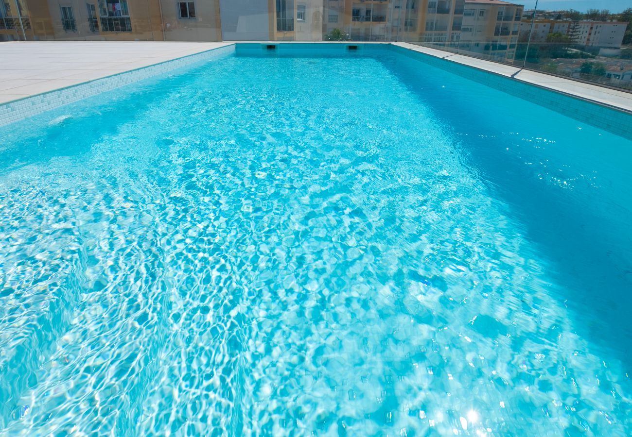 Swiming pool